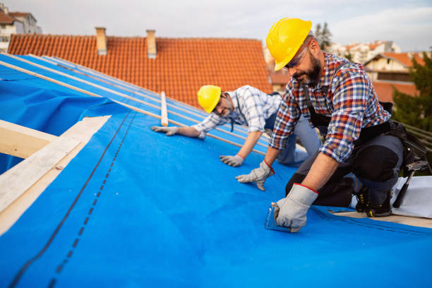 Best Roof Ventilation Installation  in Union Hall, VA